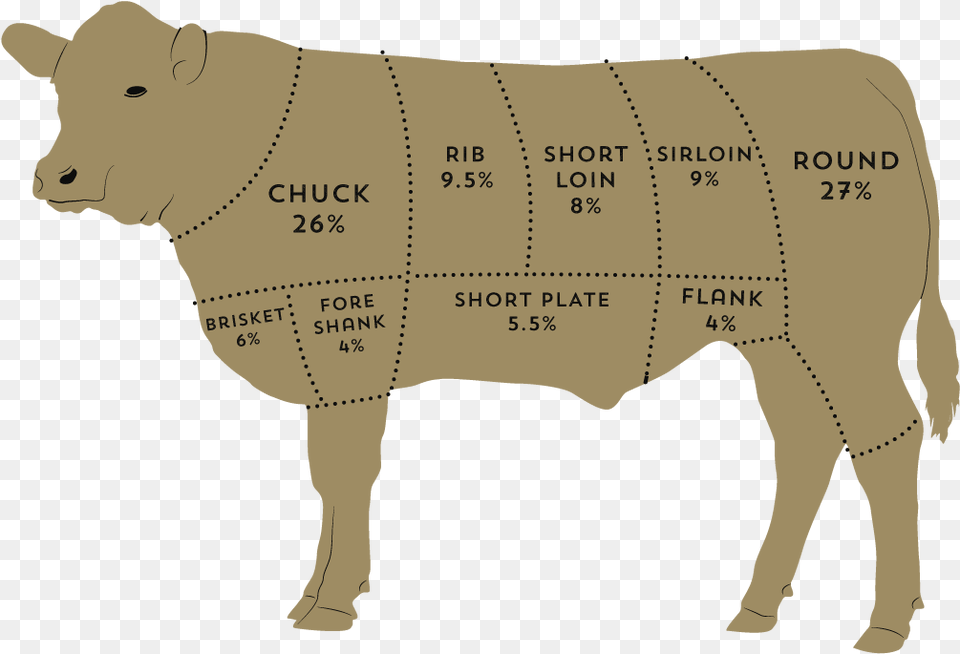 No Reason To Search Far And Wide For The Best Filet Mignon T Bone Steak, Animal, Bull, Livestock, Mammal Free Transparent Png