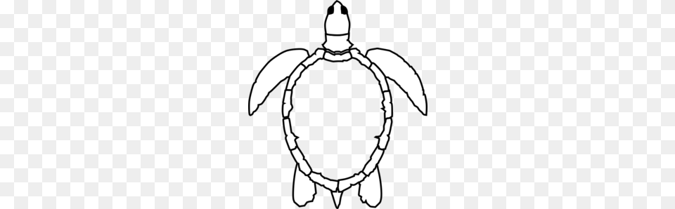 No Shell Sea Turtle Clip Art, Stencil, Adult, Male, Man Free Transparent Png