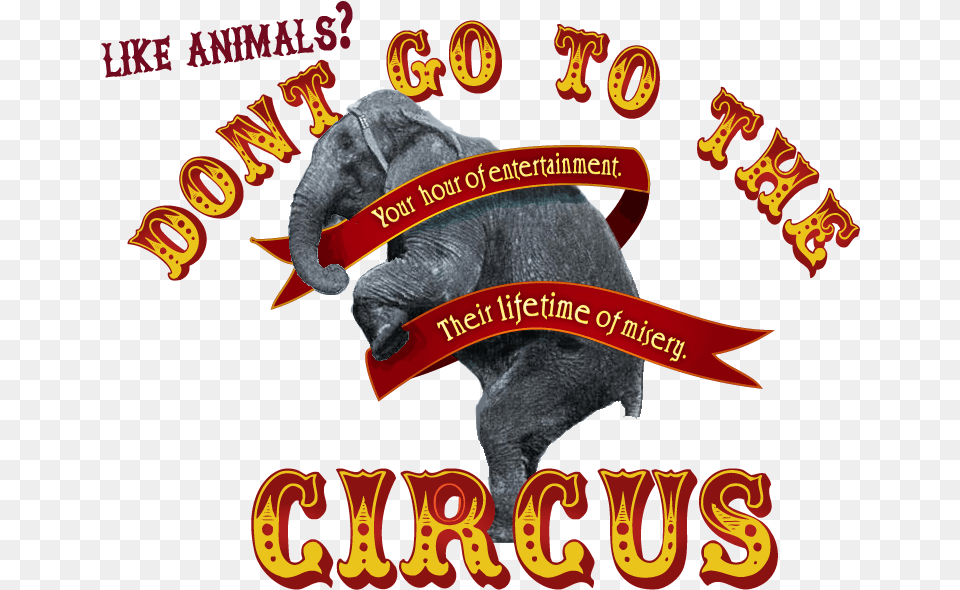 No To Circus Hurrah For The Circus, Leisure Activities, Animal, Reptile, Dinosaur Free Png