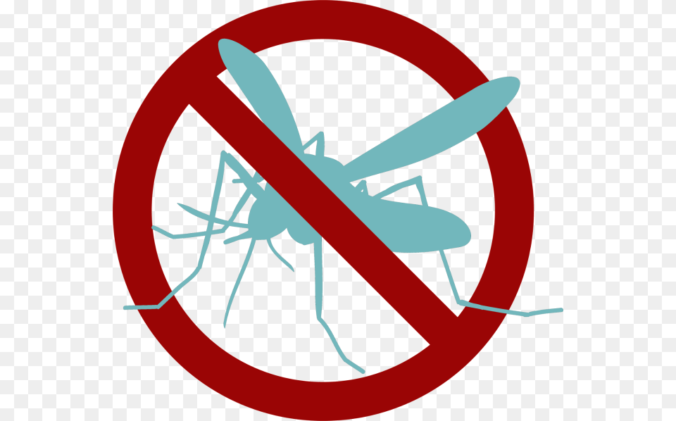 No Trash In Spanish, Animal, Insect, Invertebrate, Mosquito Png Image