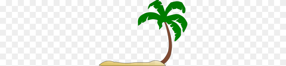 No Tree Cliparts, Plant, Palm Tree, Vegetation, Person Free Png Download