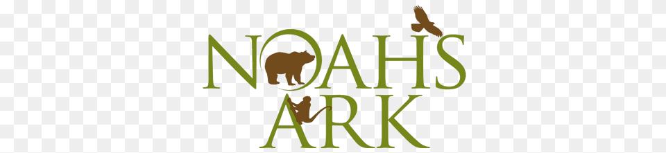 Noahs Ark, Animal, Bear, Mammal, Wildlife Png