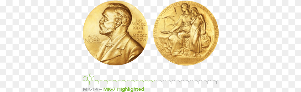 Nobel Prize, Gold, Bronze, Wedding, Person Png Image
