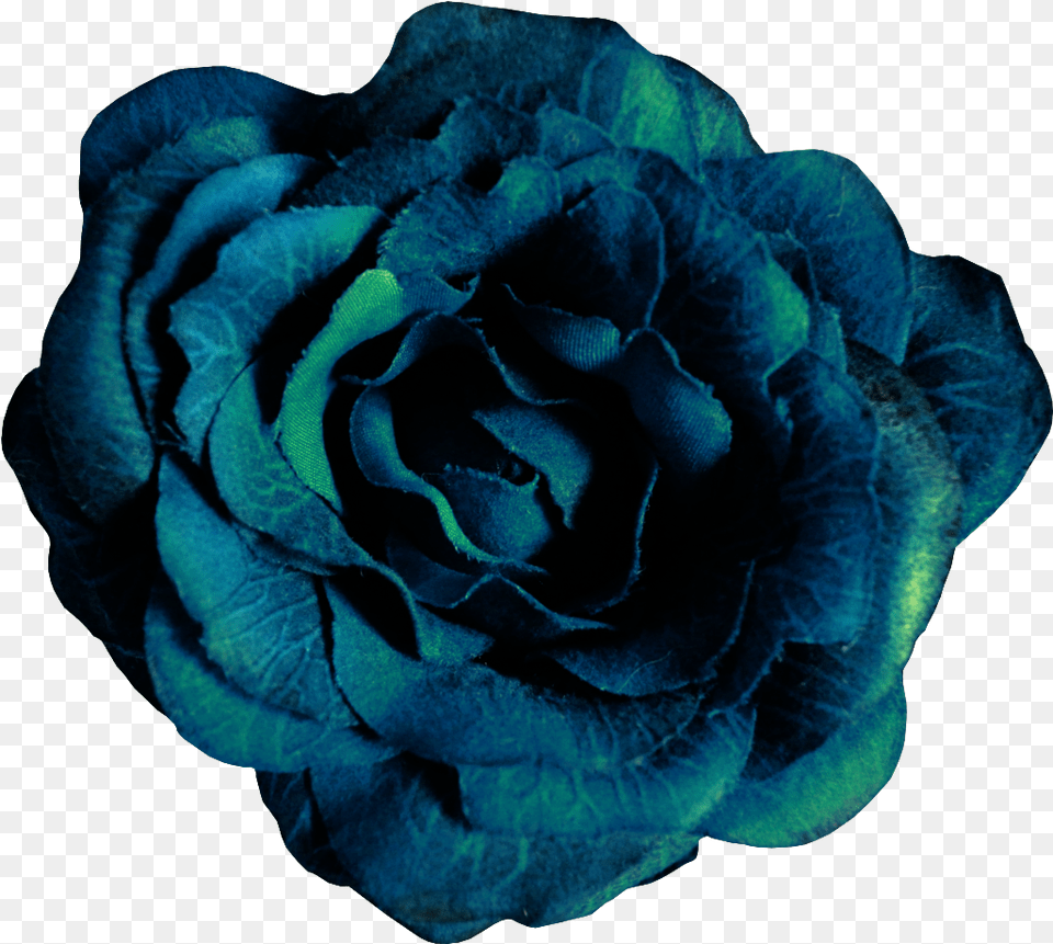 Noble Dark Blue Flowers Transparent Transparent Dark Blue Flower, Plant, Rose Png