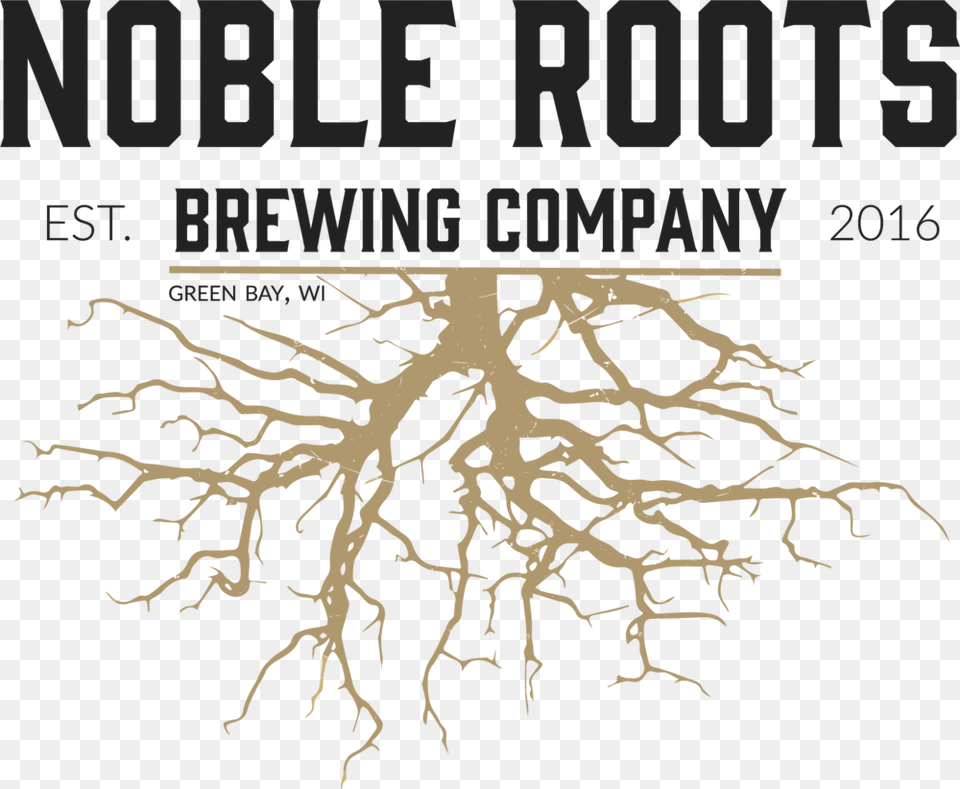 Noble Roots Brewing Company Light Background Tree Roots Silhouette, Plant, Root, Qr Code Free Png Download
