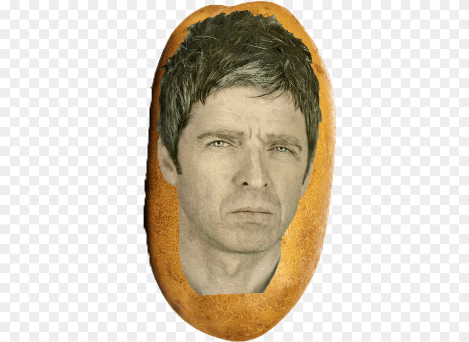 Noel Gallagher Portrait, Adult, Photography, Person, Man Free Transparent Png