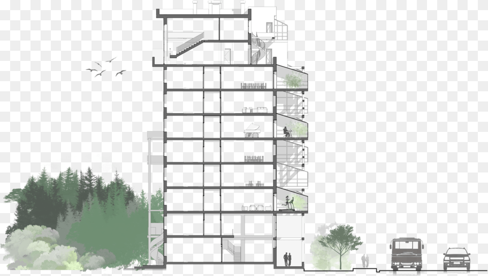 Noise Mitigation U2014 Alla Zibrova Tree Plan View, City, Urban, Architecture, Building Png