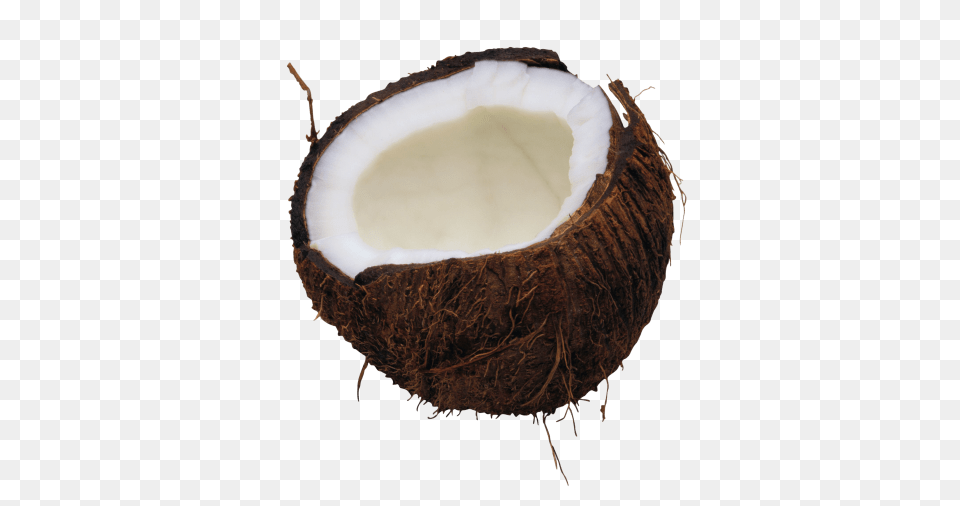 Noix De Coco, Coconut, Food, Fruit, Plant Png Image