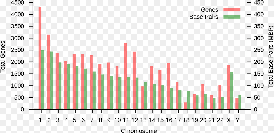 Nombre De Gene Par Chromosome, Chart Free Png Download