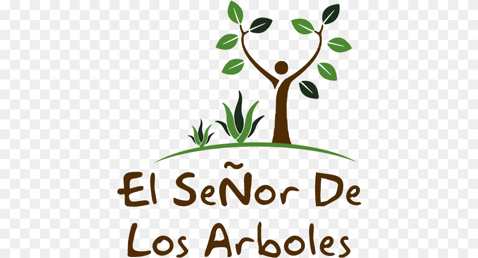 Nomes De Agencias De Turismo, Leaf, Plant, Herbal, Herbs Png Image