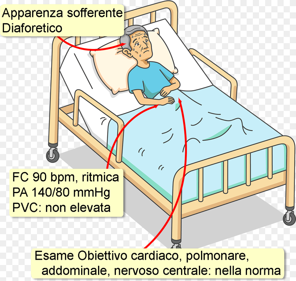 Non C39 Storia Di Diabete Dislipidemia O Malattia Case Report, Furniture, Person, Baby, Hospital Png Image