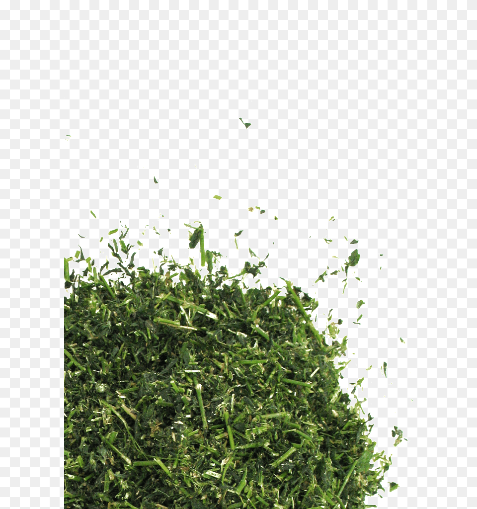 Non Gmo Alfalfadata Ww 702px 702px 702px Chopped Grass, Food, Herbal, Herbs, Plant Free Png