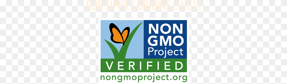 Non Gmo Project Verified Tummydrops Ginger Bag Of 30 Individually Wrapped Drops, Scoreboard, Animal, Butterfly, Insect Free Png