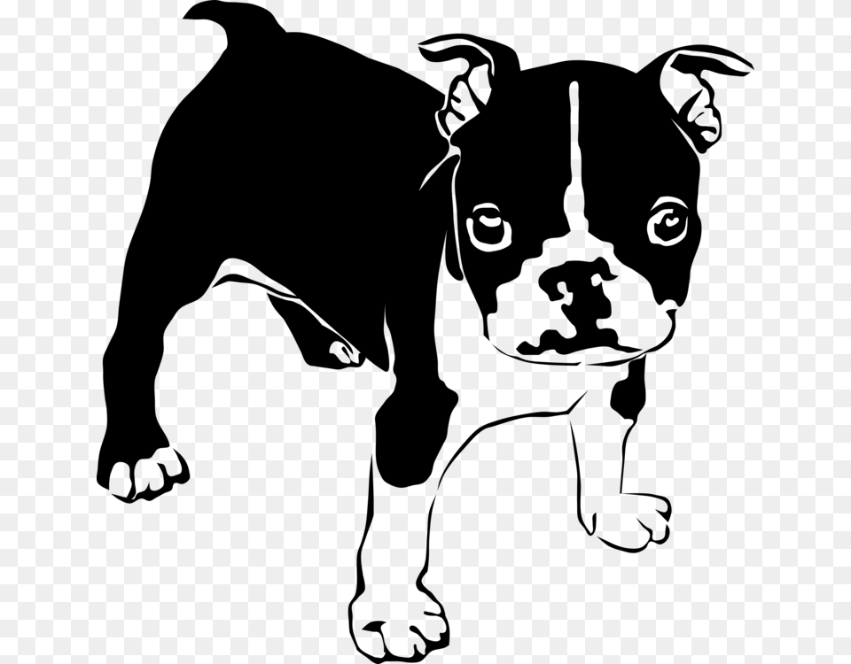 Non Sporting Groupboston Terrierpaw Clipart Boston Terrier Svg Free Png Download