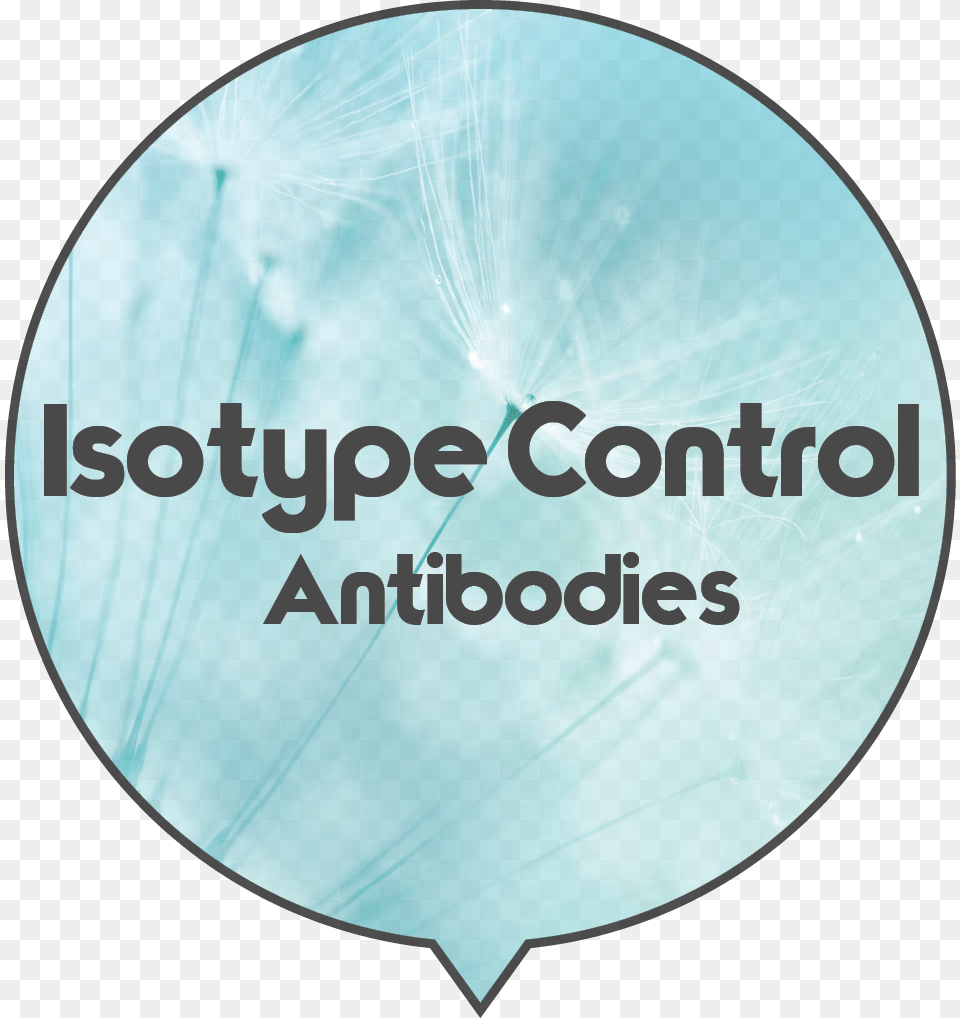 Non Targeting Species And Isotype Specific Control Circle, Flower, Plant, Balloon, Disk Png