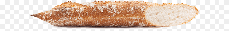 Non Yeasted Baguette Or French Baguette Is A True Classic Baguette, Bread, Food, Bread Loaf Free Png