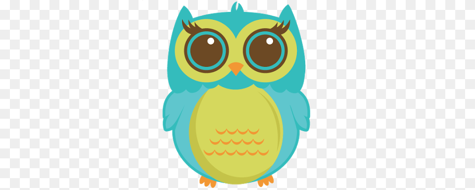 Nona Owl Cute Owl, Animal, Bird Png Image