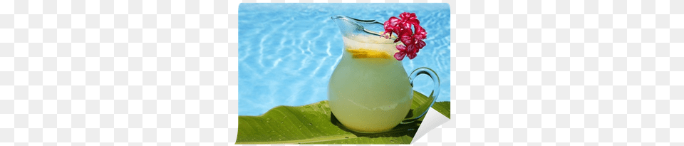 Noni Juice, Beverage, Lemonade, Flower, Plant Png Image