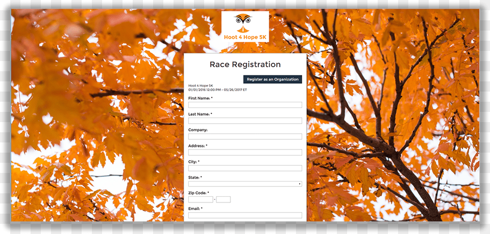 Nonprofit Event Registration Software Background Images Of Fall, Leaf, Plant, Tree, Maple Free Transparent Png