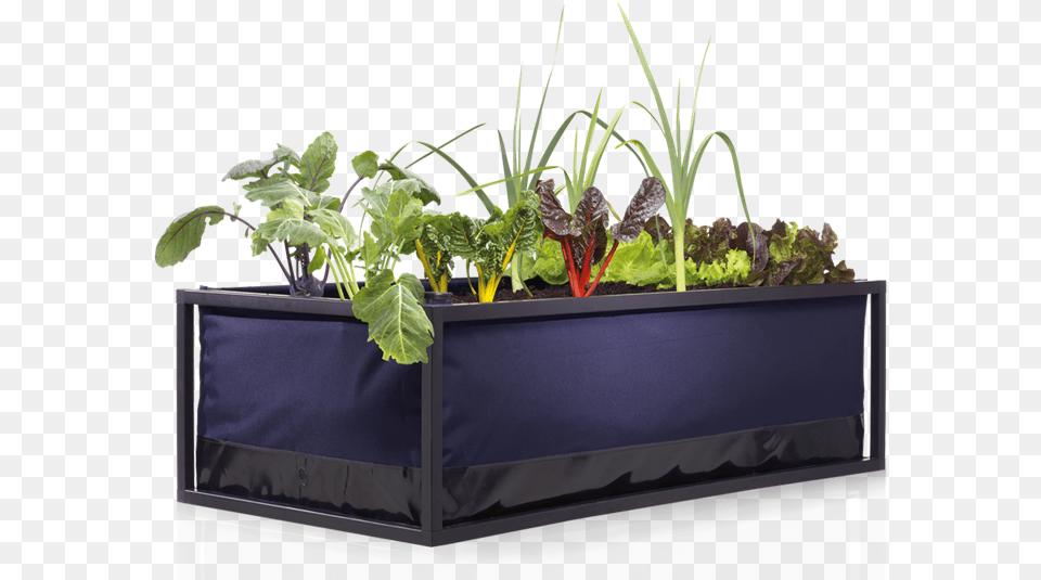 Noocity Growbed Urban Gardening, Jar, Plant, Planter, Potted Plant Free Png Download