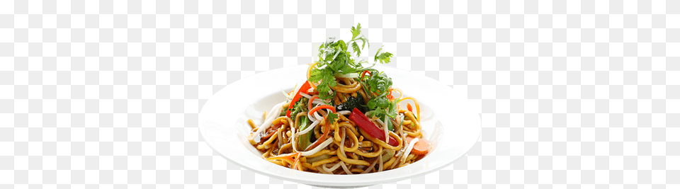 Noodle, Food, Pasta, Spaghetti, Plate Free Png