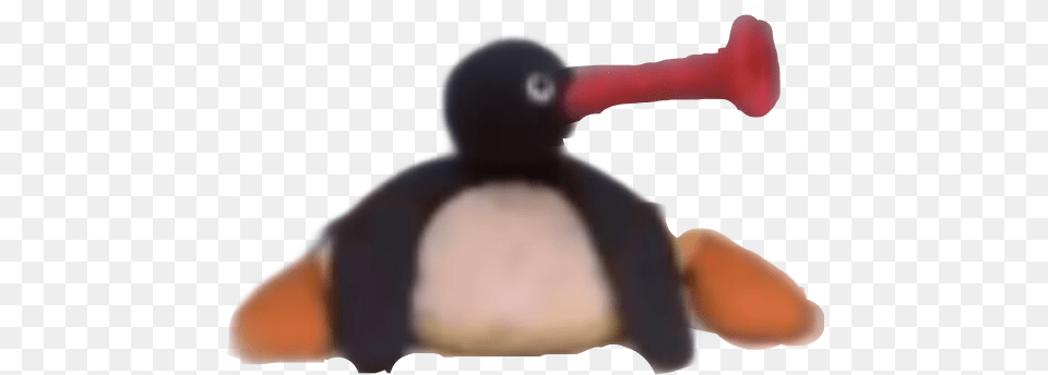 Noot Noot Transparent Pingu Noot Noot, Animal, Beak, Bird, Appliance Free Png Download
