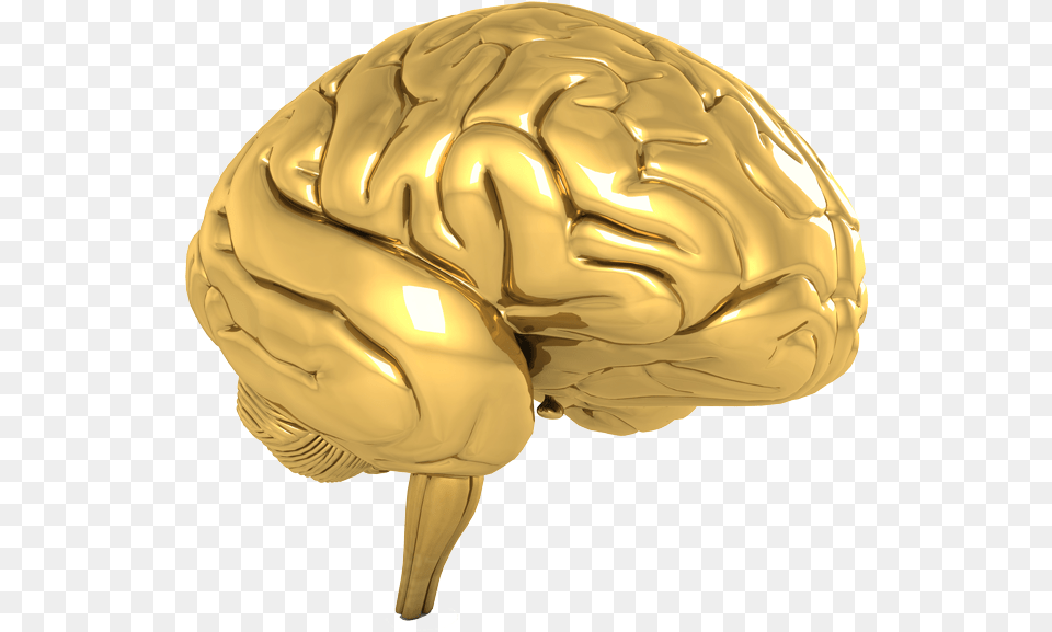 Nootroo Gold Brain Nootropic Clear Golden Brain Free Transparent Png