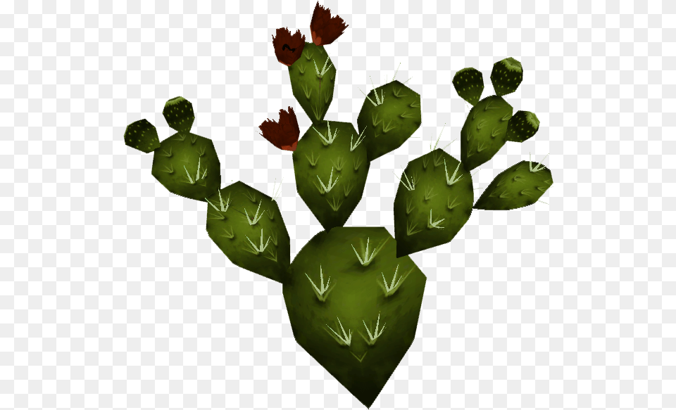 Nopal 2 Image Nopal, Cactus, Plant Png