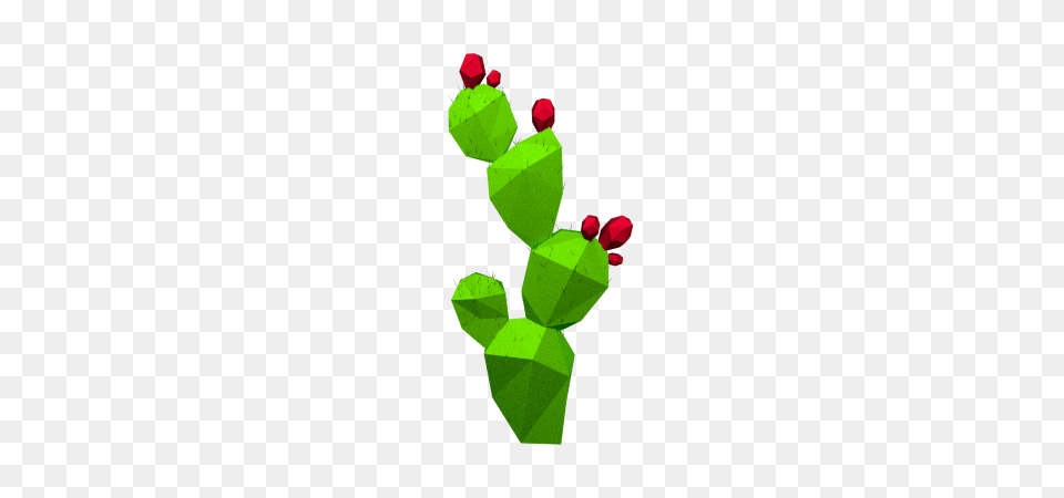Nopal Dibujo, Green, Cactus, Plant, Flower Png Image