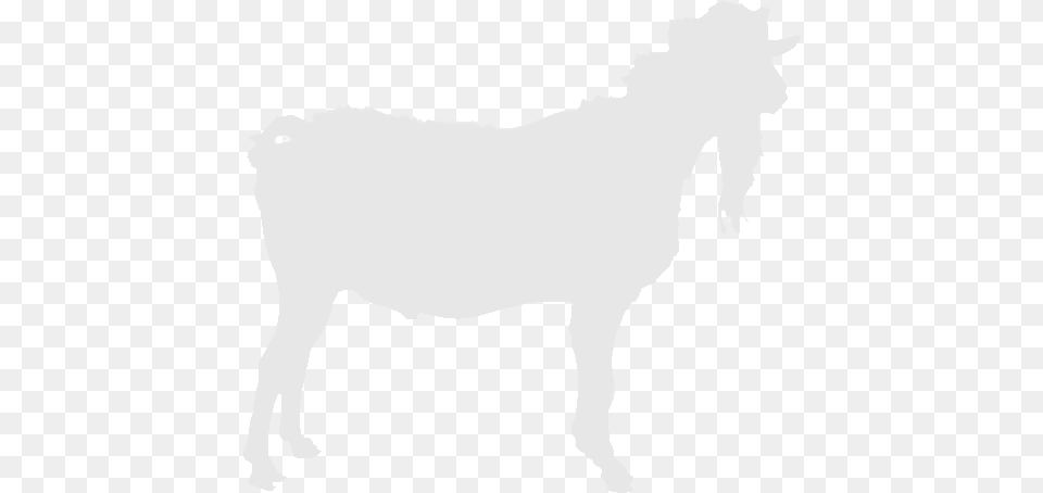 Nopicture Horse, Animal, Mammal, Adult, Female Free Png Download