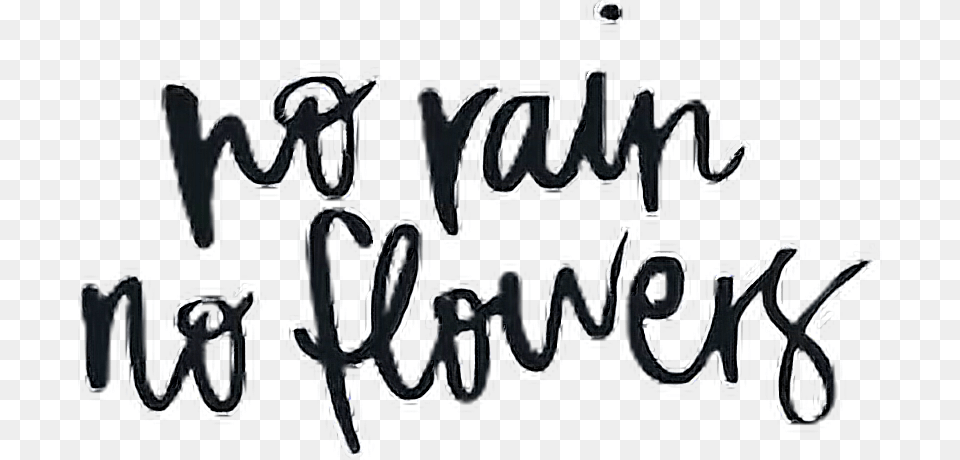 Norain Rain Flowers Quotes Quote Cursive Norainnoflowers Calligraphy, Text, Handwriting, Person Free Png