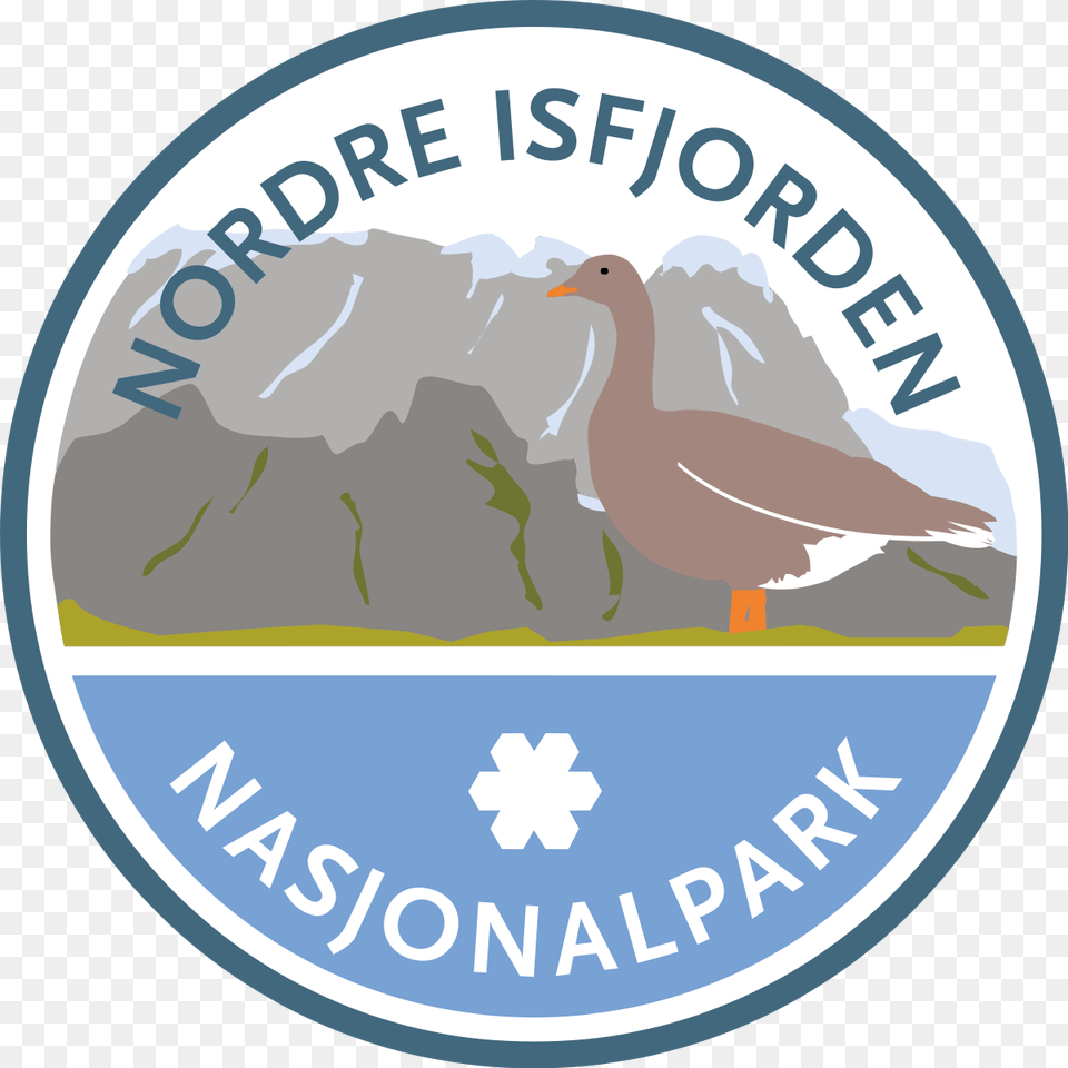 Nordre Isfjorden Nasjonalpark, Animal, Bird, Goose, Waterfowl Free Transparent Png