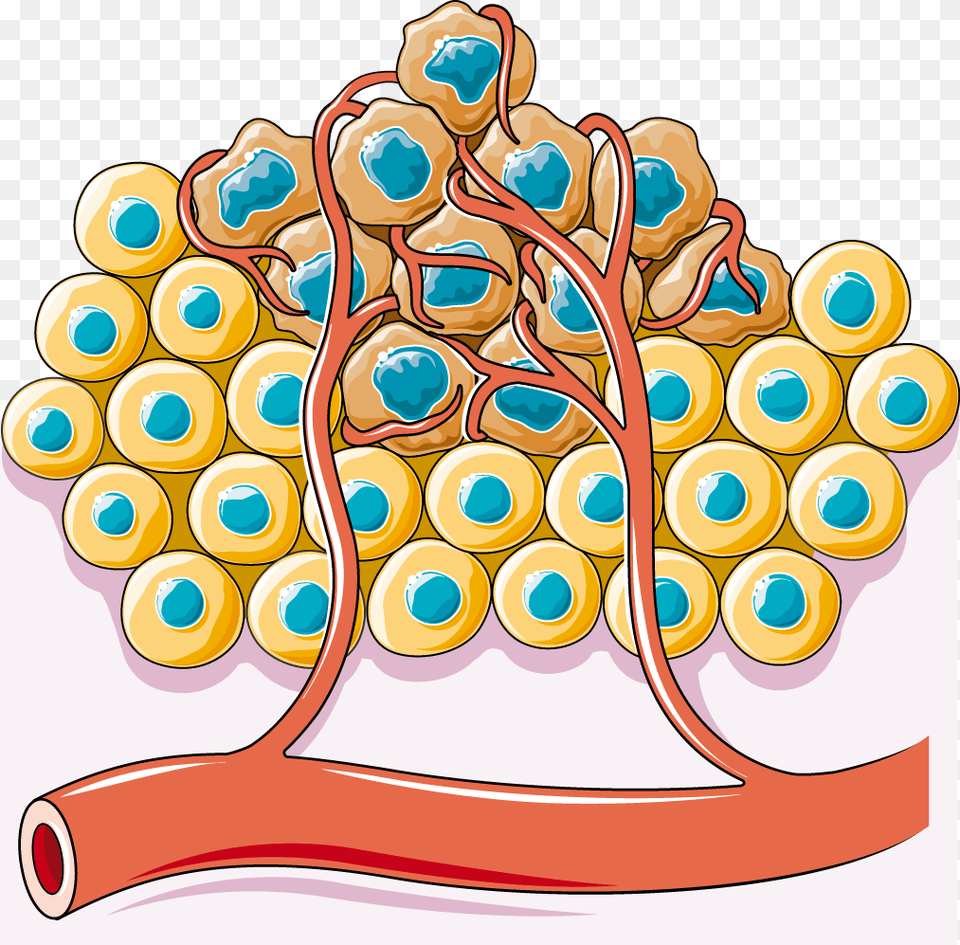 Normal Cell, Dynamite, Weapon, People, Person Png Image