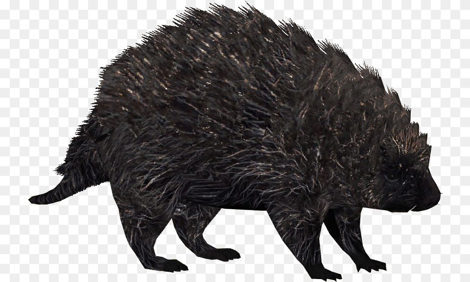 North American Porcupine 3 North American Porcupine Figure, Animal, Mammal, Hedgehog, Rodent Free Png Download