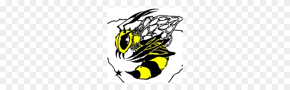 North Augusta Yellowjackets Basketball Boys Digital, Animal, Bee, Insect, Invertebrate Free Png
