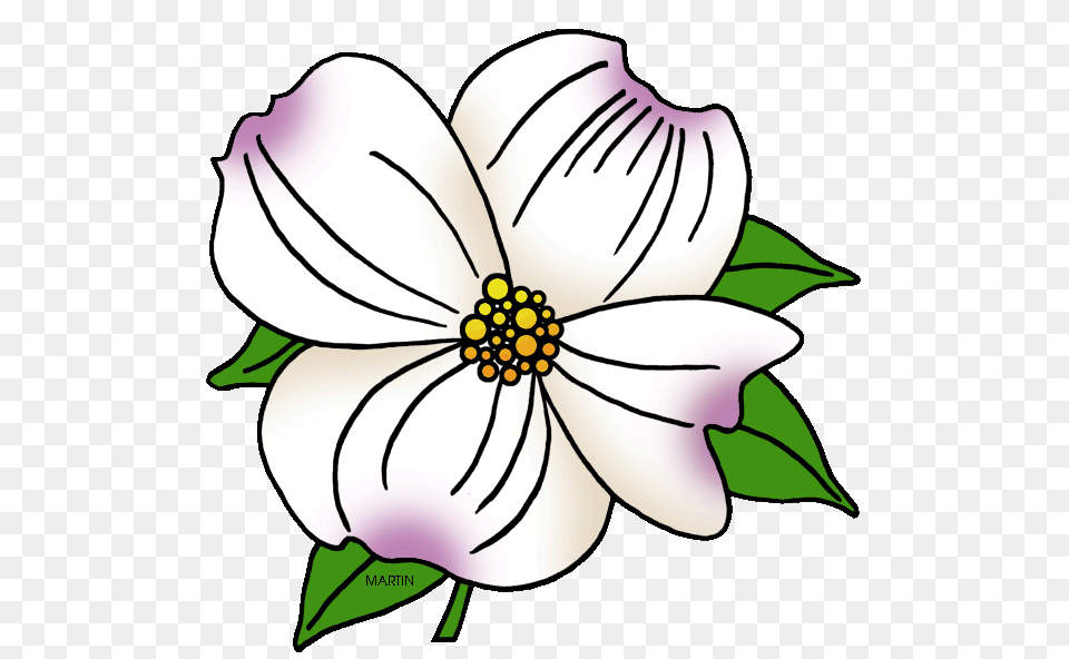 North Carolina Clipart, Anemone, Plant, Petal, Flower Free Png Download