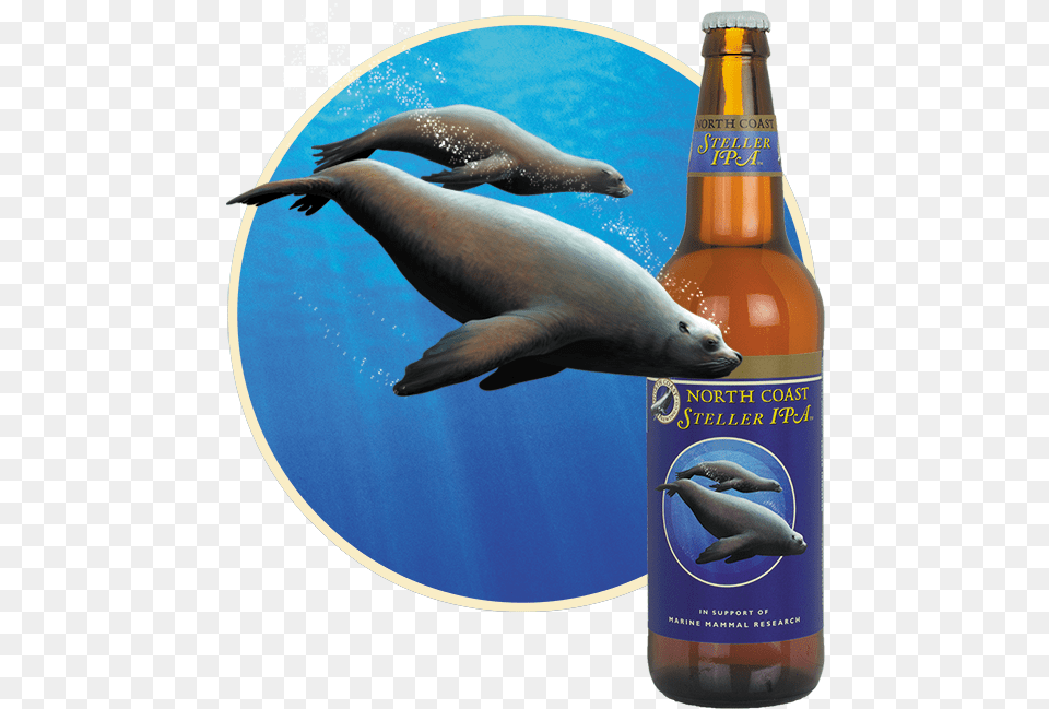 North Coast Stellar Ipa, Alcohol, Bottle, Beverage, Beer Free Png