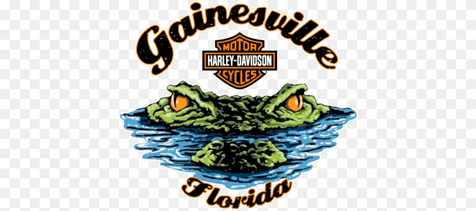 North Floridau0027s 1 Harley Dealer Gainesville Gainesville Florida Harley Davidson, Animal, Crocodile, Reptile Free Png Download