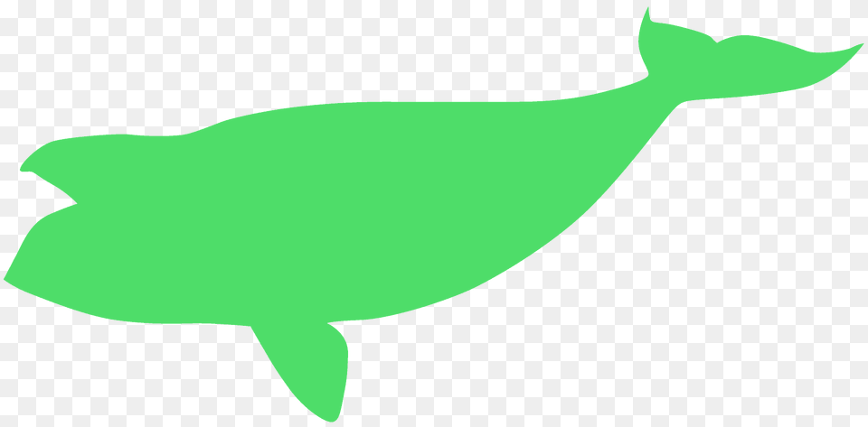 North Pacific Right Whale Silhouette, Animal, Sea Life, Mammal, Beluga Whale Png