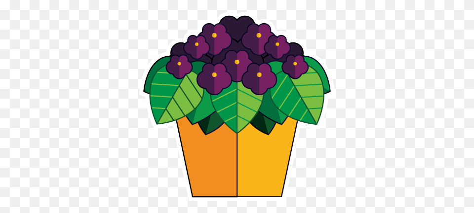 North Star African Violet Council Twin Cities, Planter, Vase, Flower, Purple Free Transparent Png