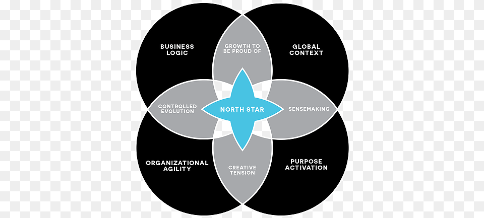 North Star Geniusworks Circle, Disk, Symbol, Diagram Png