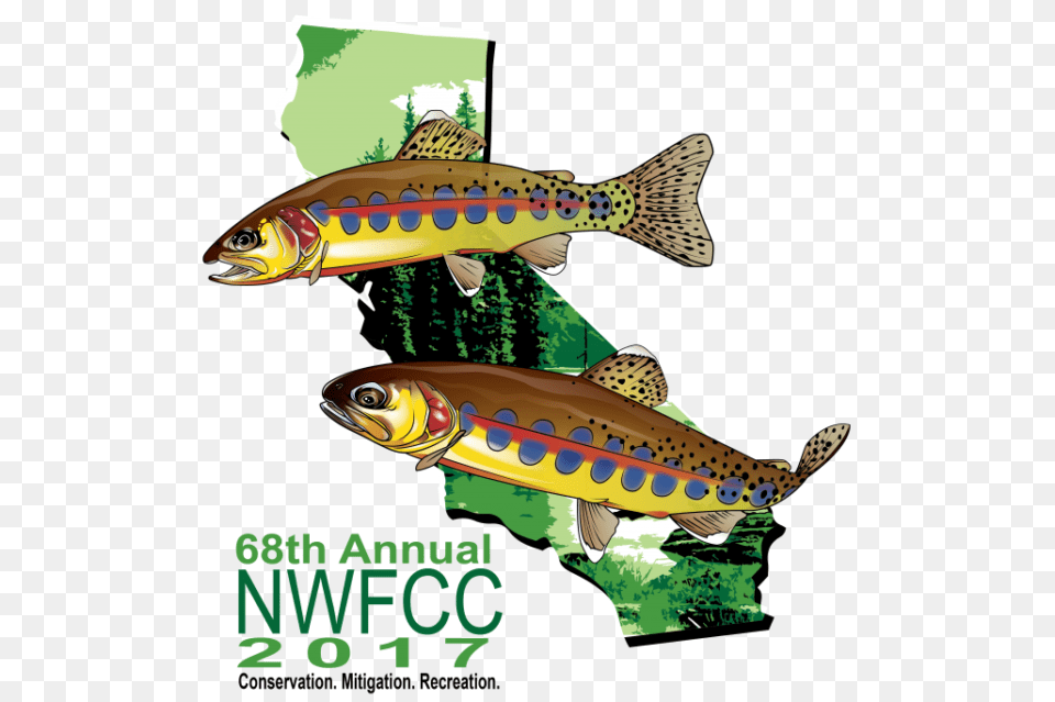 North West Fish Clipart Clip Art, Animal, Sea Life, Trout Free Png Download