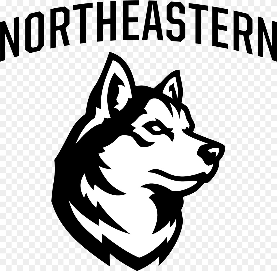 Northeastern Athletics, Stencil, Animal, Fish, Sea Life Png Image