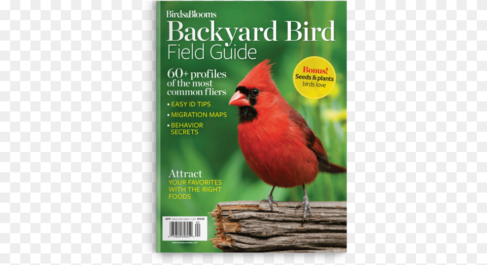 Northern Cardinal, Animal, Bird, Publication Free Transparent Png