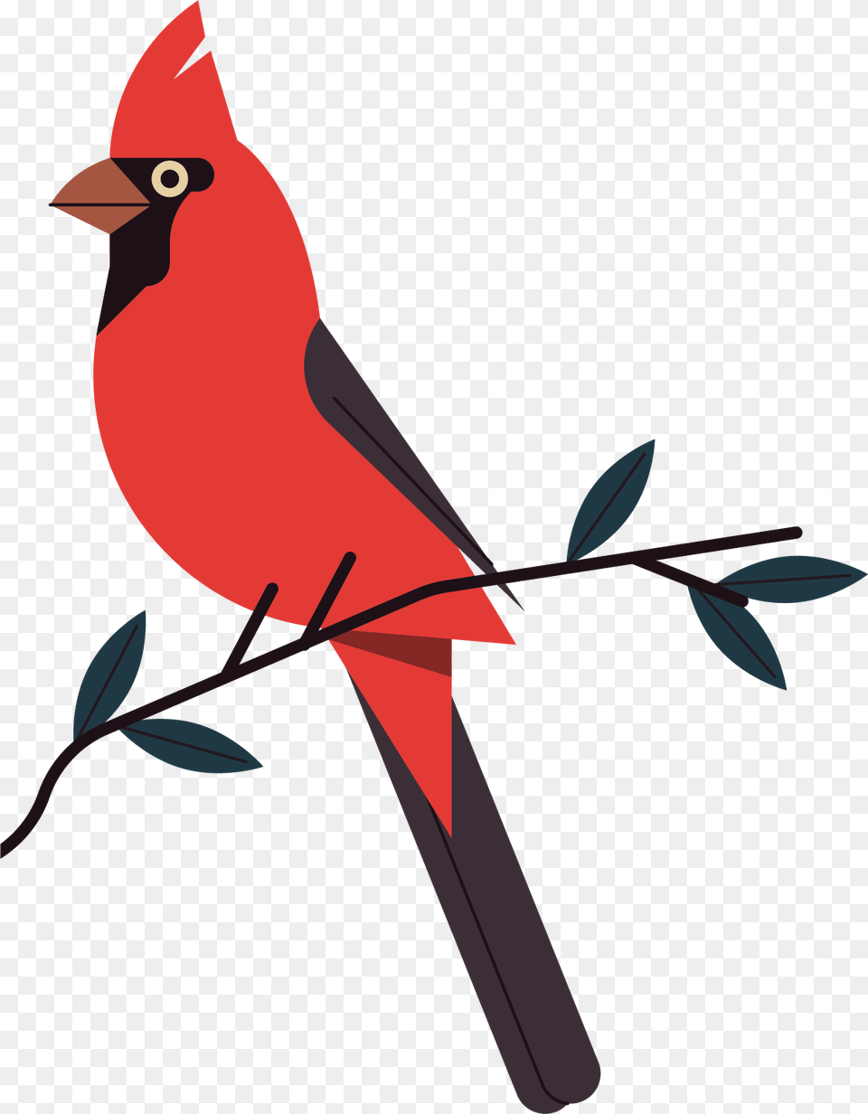 Northern Cardinal, Animal, Bird, Fish, Sea Life Free Transparent Png
