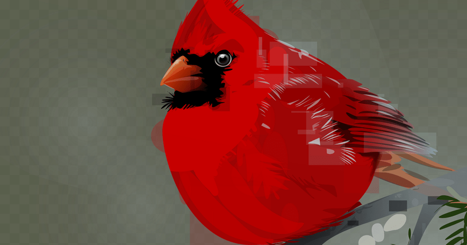Northern Cardinal, Animal, Bird Free Transparent Png