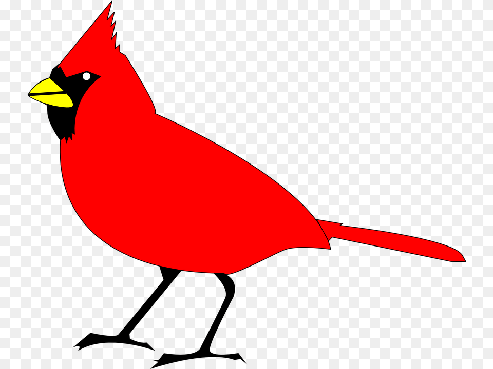 Northern Cardinal And Psd Download Winter, Animal, Bird Free Transparent Png