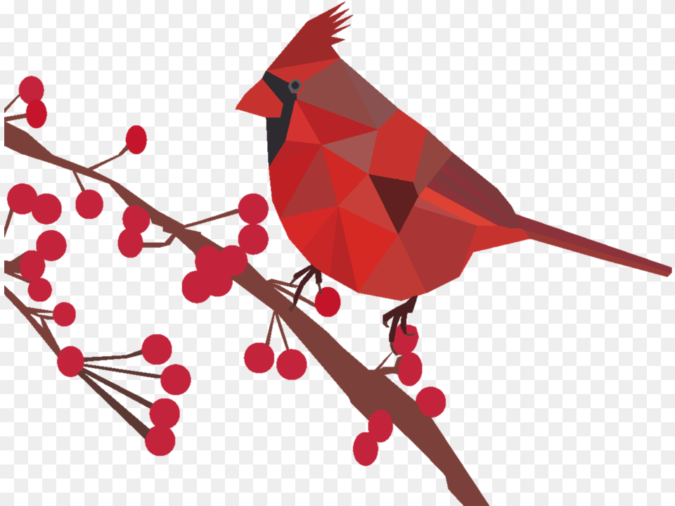 Northern Cardinal Bird Origami Art Northern Cardinal, Animal, Person Png Image