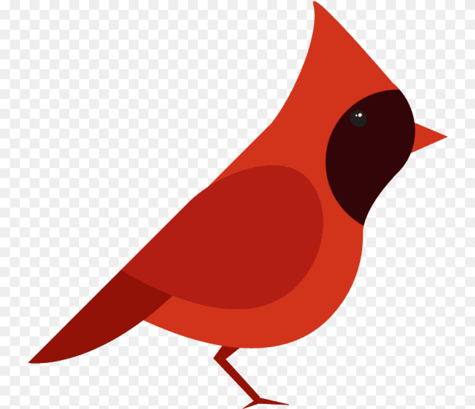 Northern Cardinal Vector Graphics Bird Clip Art Cardinal Vector, Animal, Fish, Sea Life, Shark Free Transparent Png