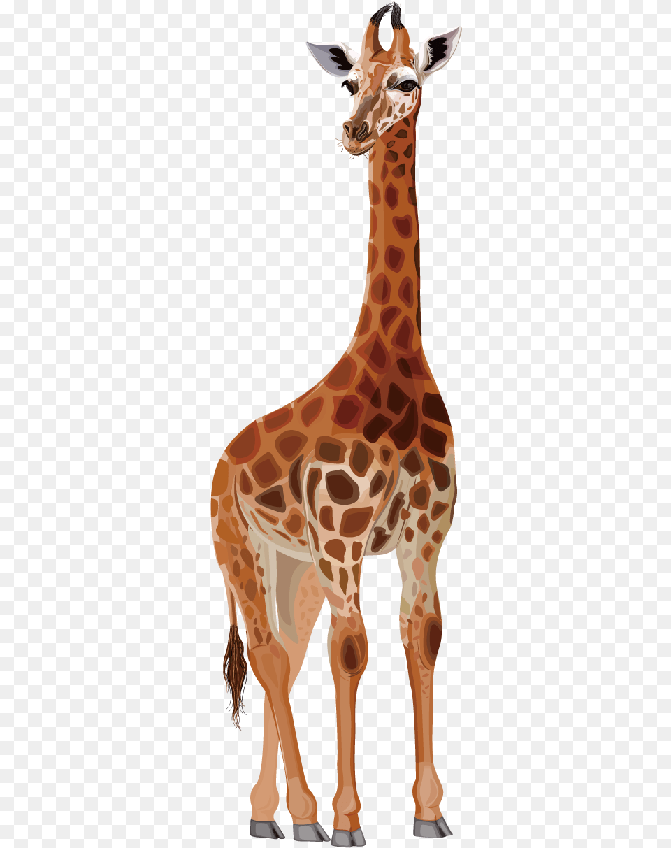 Northern Giraffe Deer Drawing Cartoon Giraf Drawing, Animal, Mammal, Wildlife Free Png Download